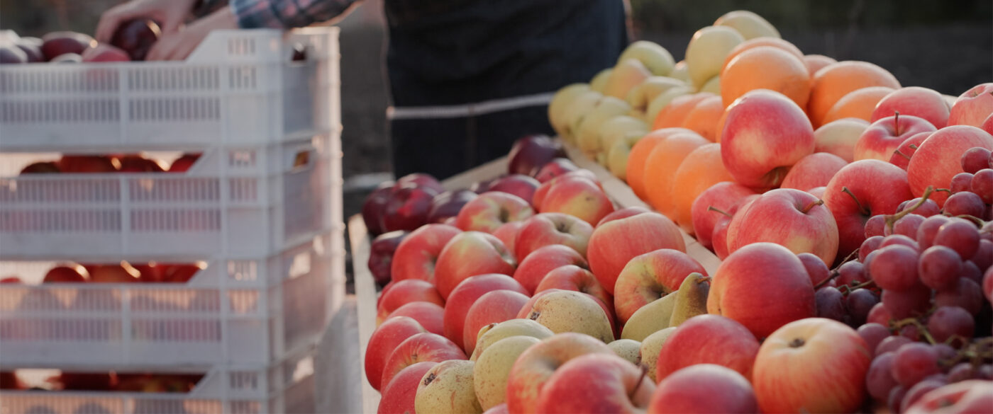 Braeswood Farmers Market photo 14