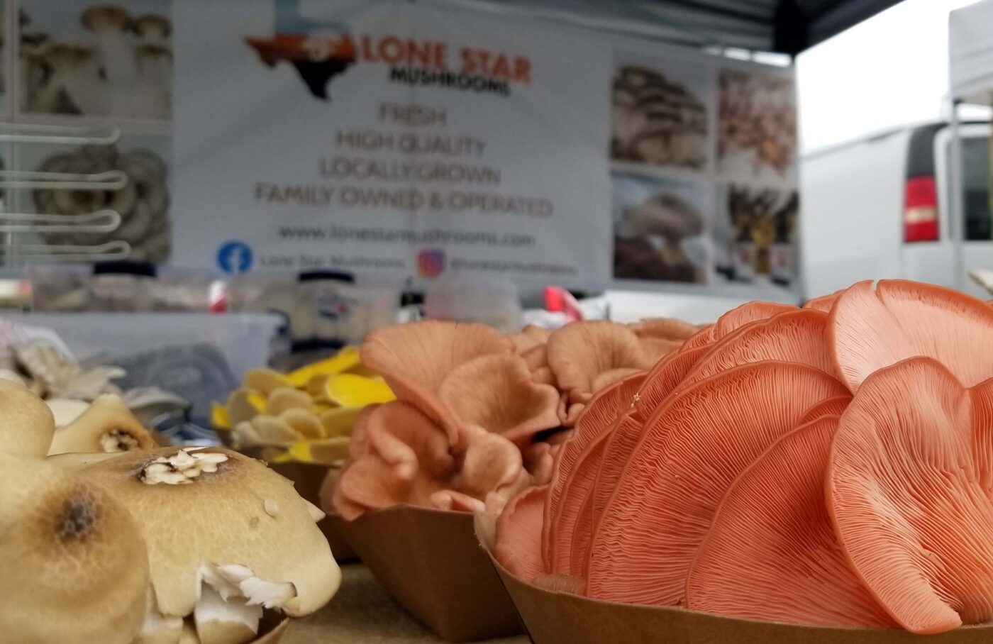 Braeswood Farmers Market photo 21