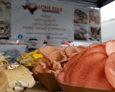 Lonestar Mushrooms