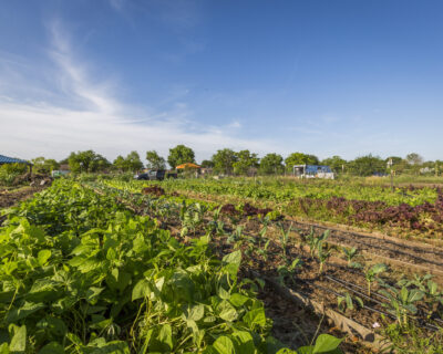 Plan It Forward Farms
