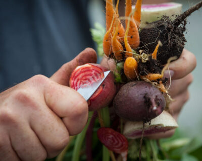 Verdegreens Farms